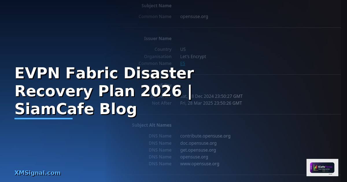 EVPN Fabric Disaster Recovery Plan
