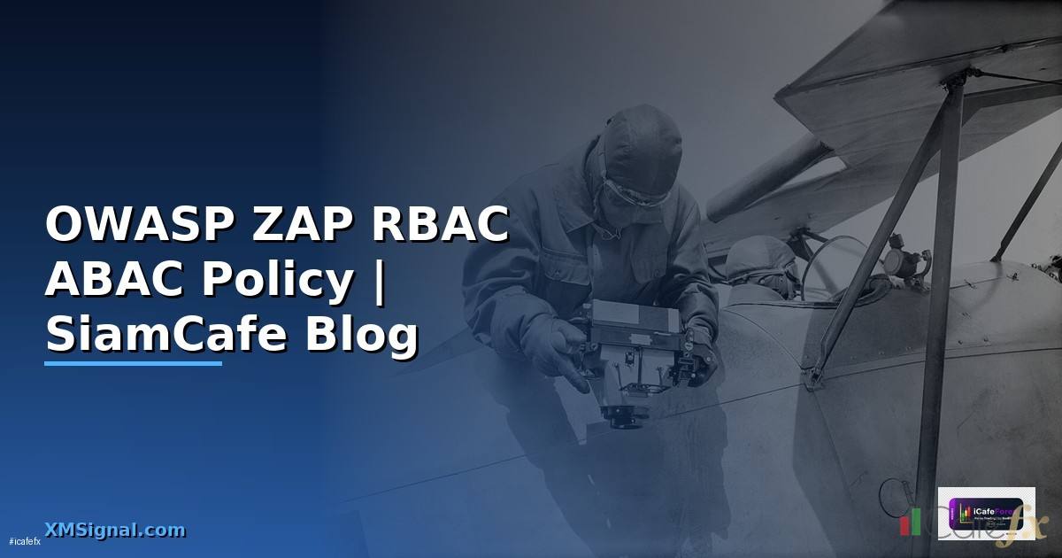 OWASP ZAP RBAC ABAC Policy