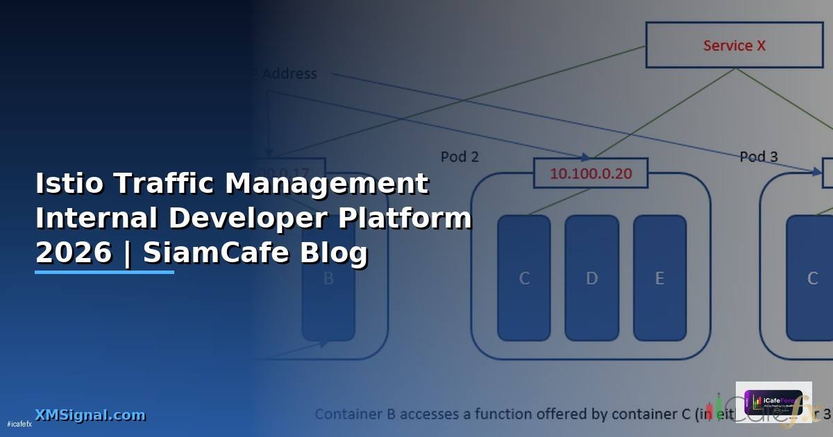 Istio Traffic Management Internal Developer