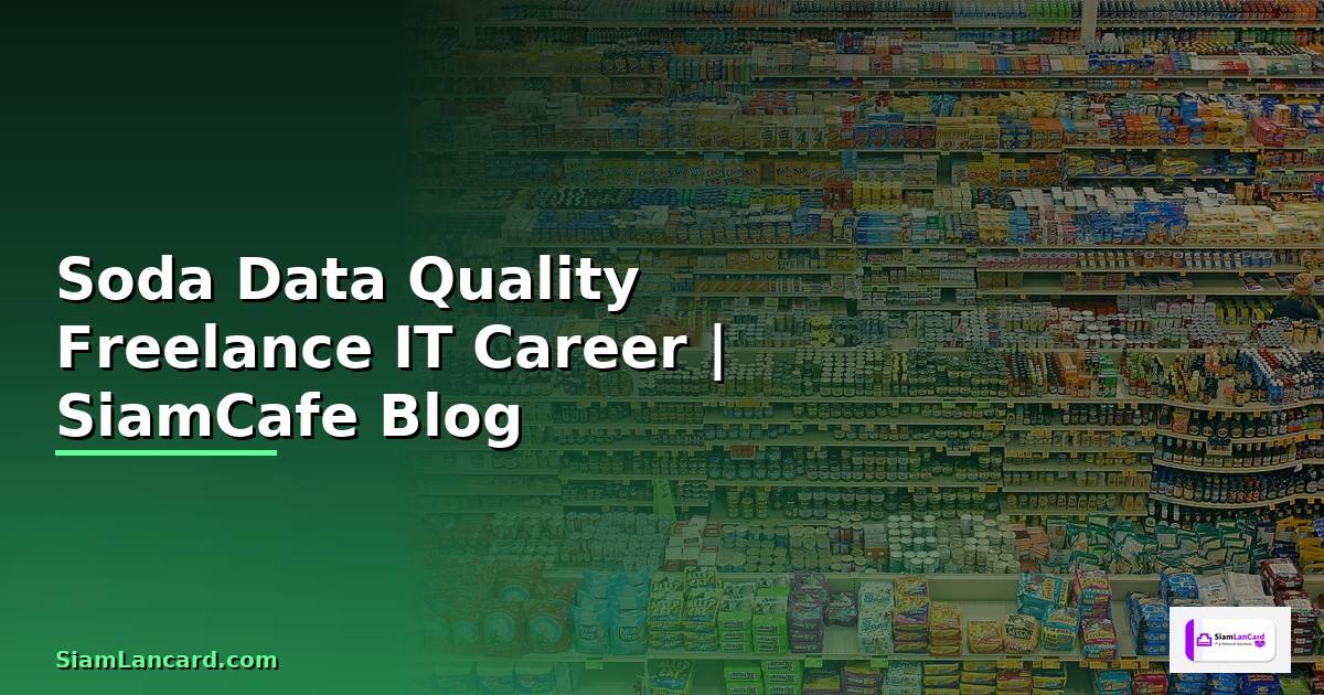 Soda Data Quality Freelance IT Career