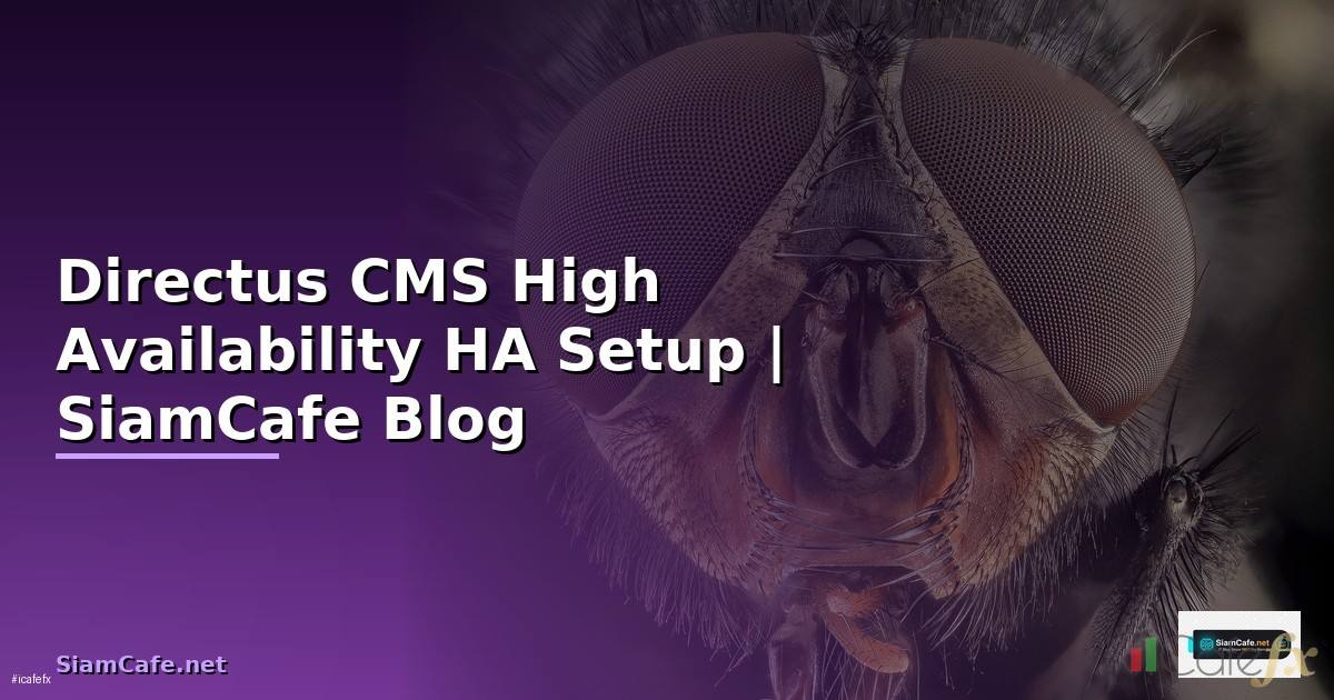 Directus CMS High Availability HA Setup