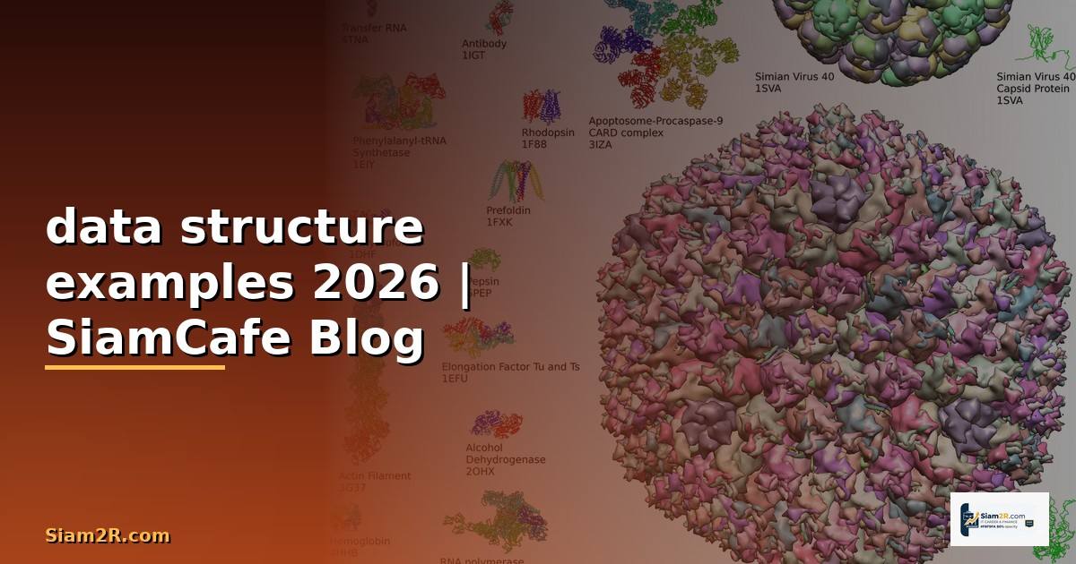 data structure examples — คู่มือฉบับสมบูรณ์ 2026