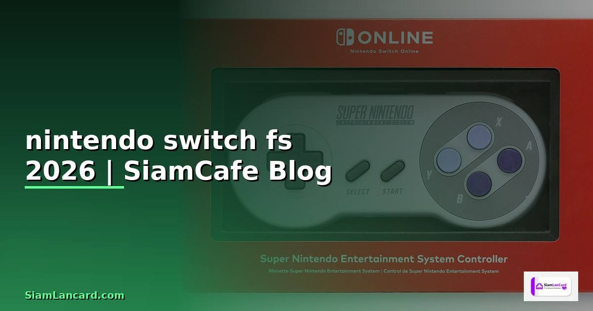 nintendo switch fs คือ