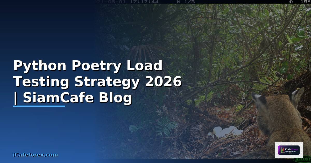 Python Poetry Load Testing Strategy