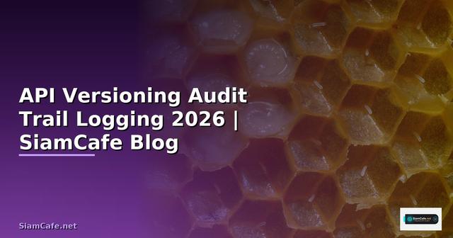 API Versioning Audit Trail Logging