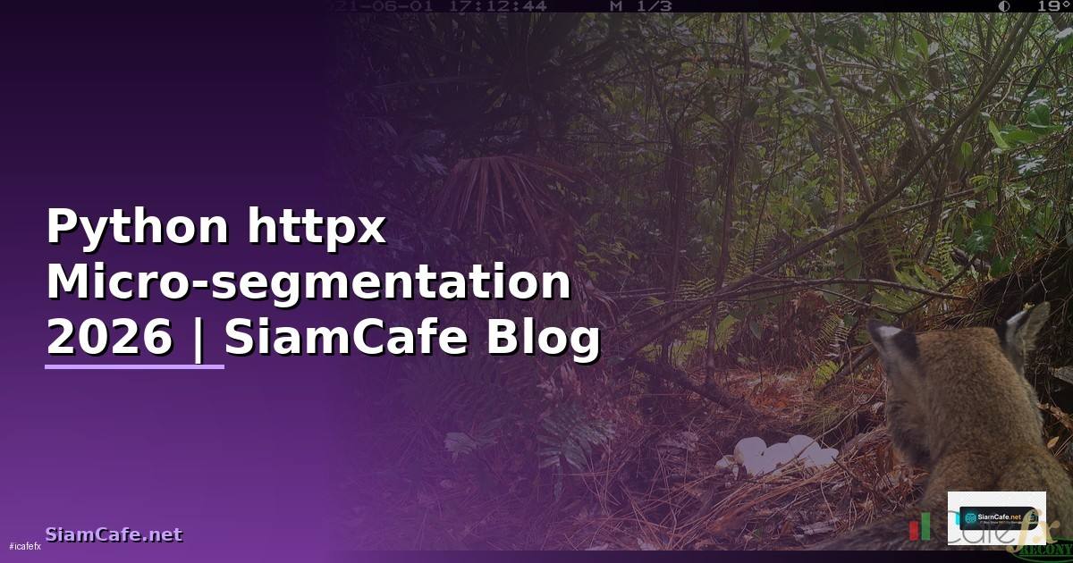 Python httpx Micro-segmentation