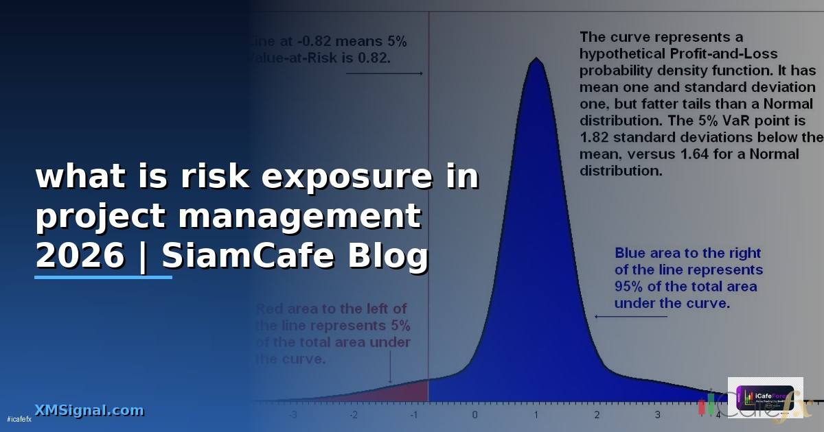 what is risk exposure in project management