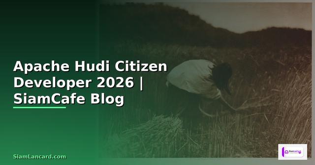 Apache Hudi Citizen Developer