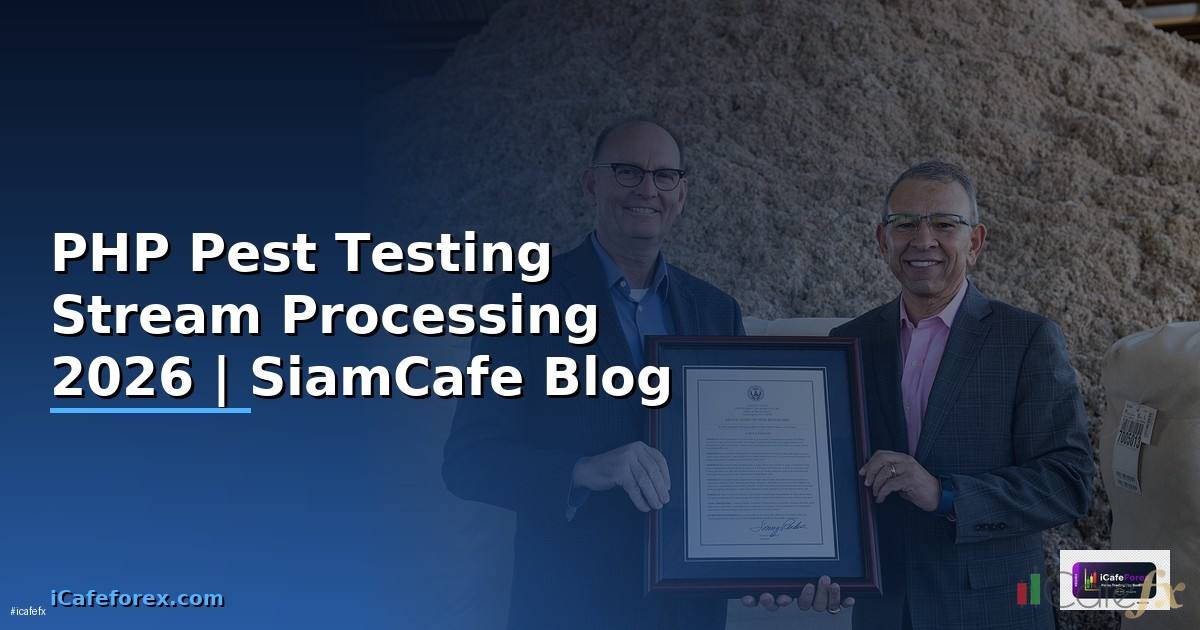 PHP Pest Testing Stream Processing