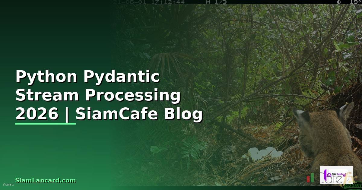 Python Pydantic Stream Processing