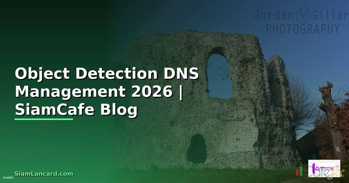 Object Detection DNS Management — คู่มือฉบับสมบูรณ์ 2026