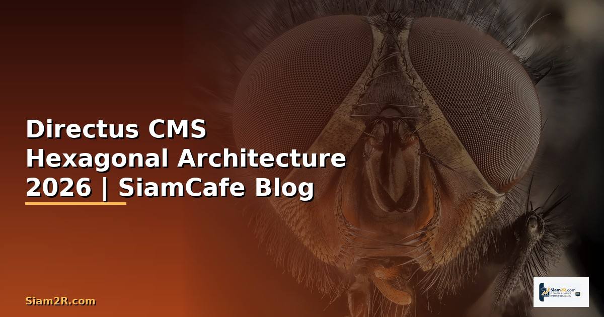Directus CMS Hexagonal Architecture