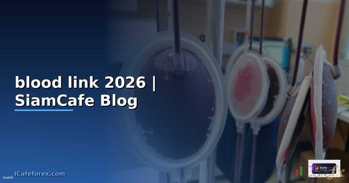 blood link แปลไทย — ข้อมูลครบถ้วน 2026