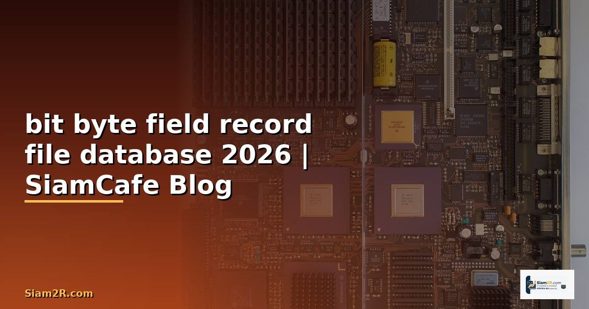 bit byte field record file database คือ