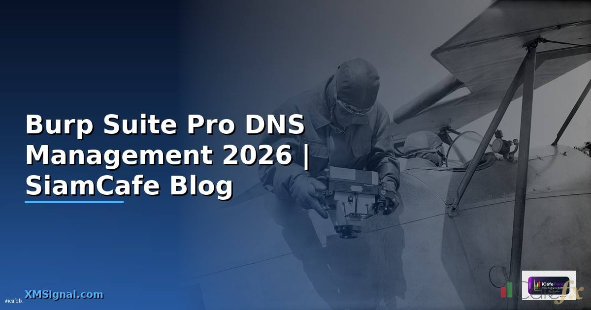 Burp Suite Pro DNS Management