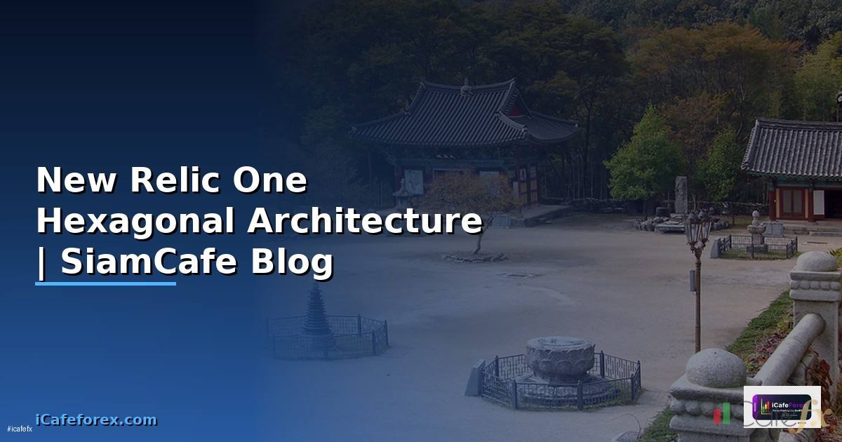 New Relic One Hexagonal Architecture