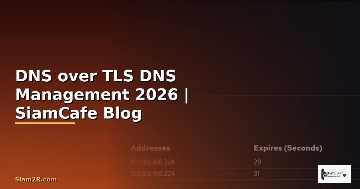 DNS over TLS DNS Management
