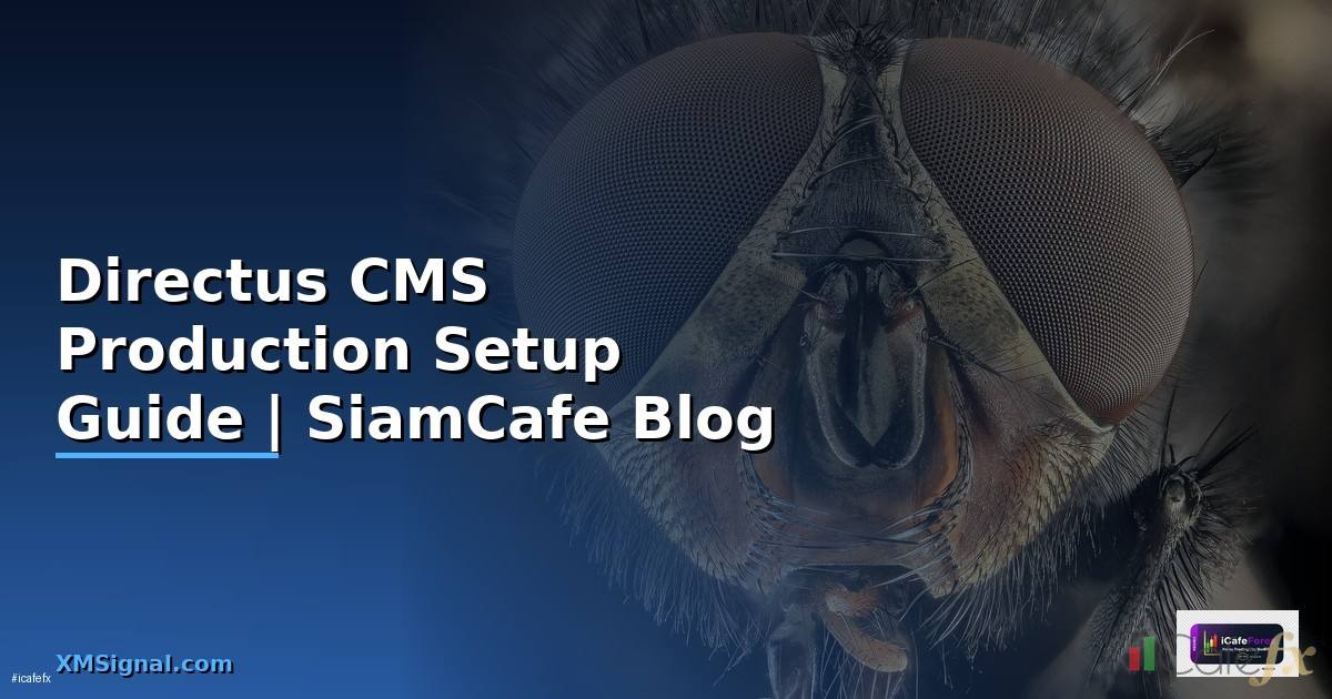 Directus CMS Production Setup Guide