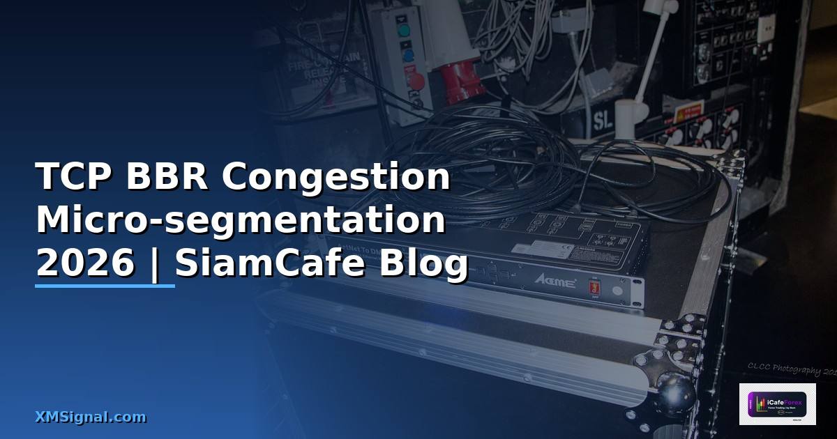 TCP BBR Congestion Micro-segmentation