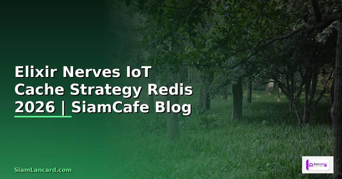 Elixir Nerves IoT Cache Strategy Redis