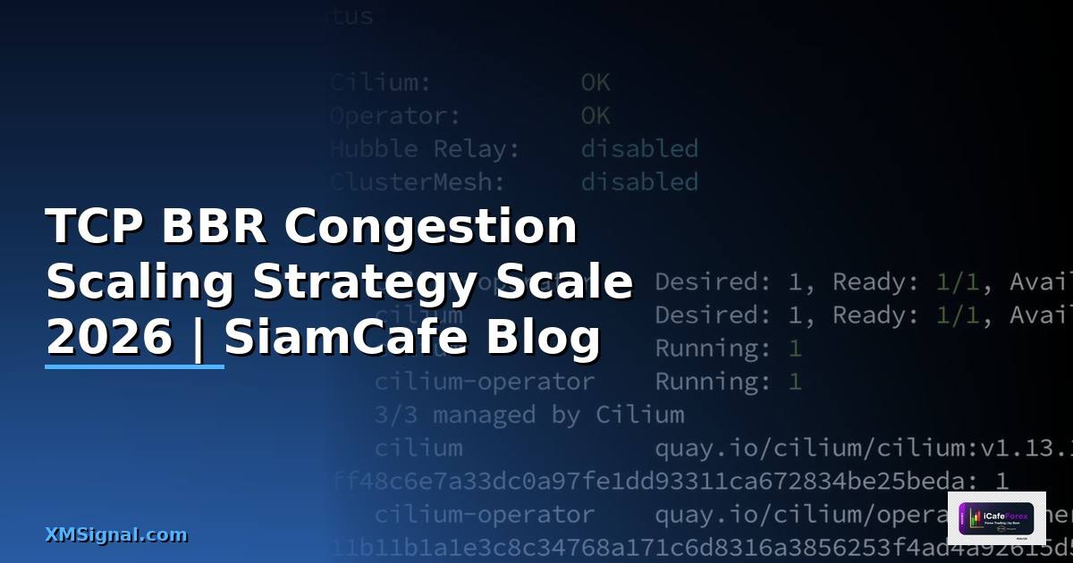 TCP BBR Congestion Scaling Strategy วิธี Scale