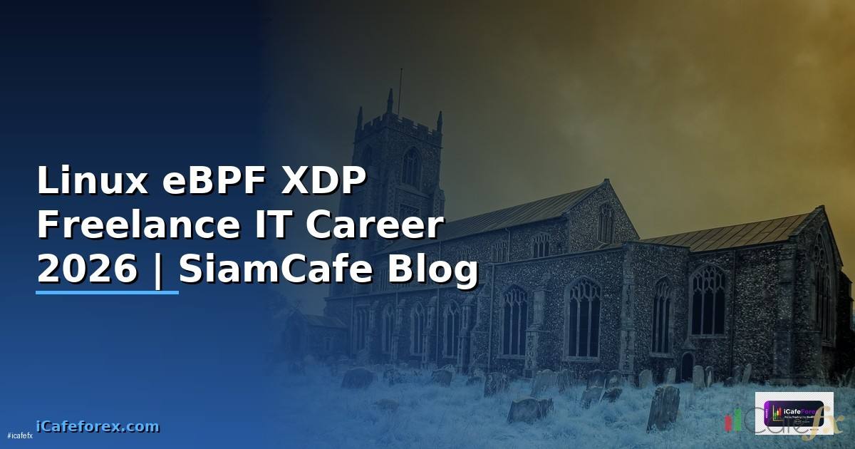 Linux eBPF XDP Freelance IT Career