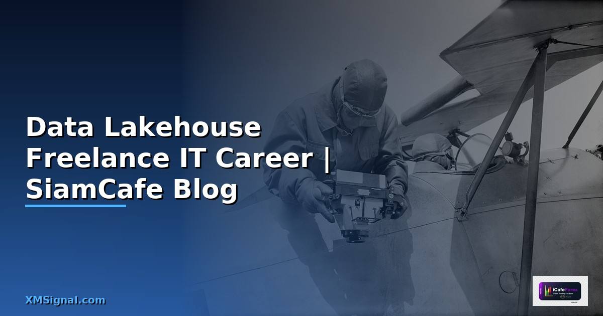 Data Lakehouse Freelance IT Career