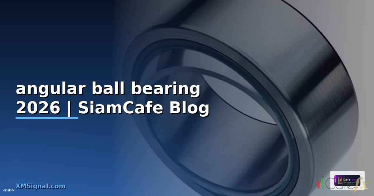 angular ball bearing คือ