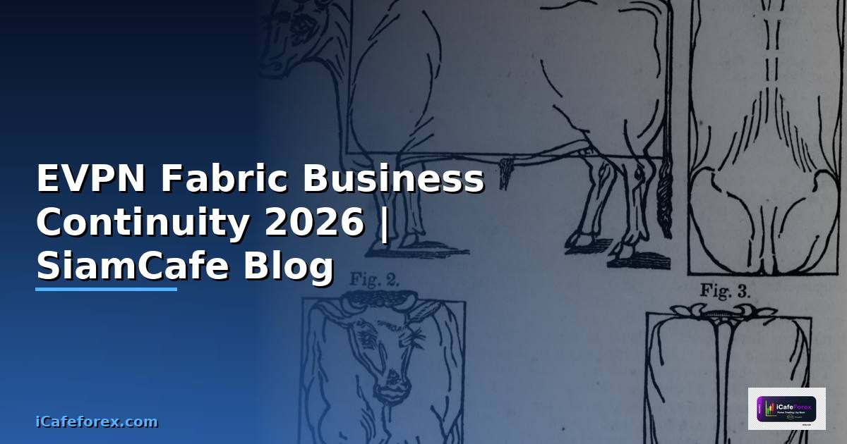 EVPN Fabric Business Continuity