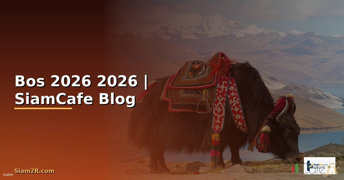 Bos — คู่มือฉบับสมบูรณ์ 2026