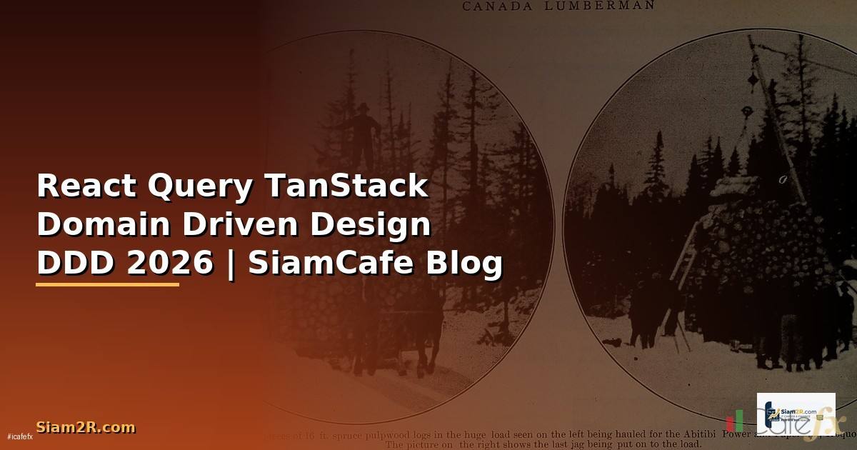 React Query TanStack Domain Driven Design DDD