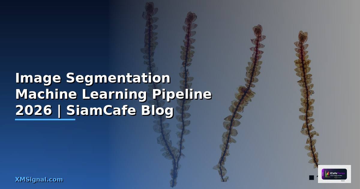 Image Segmentation Machine Learning Pipeline —