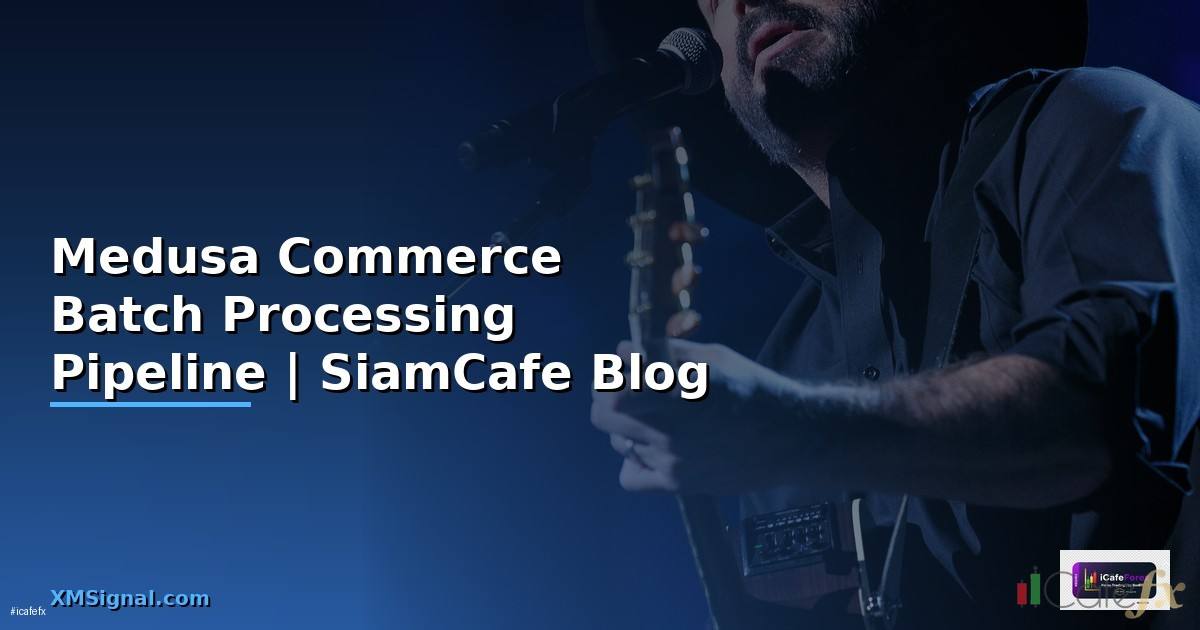 Medusa Commerce Batch Processing Pipeline