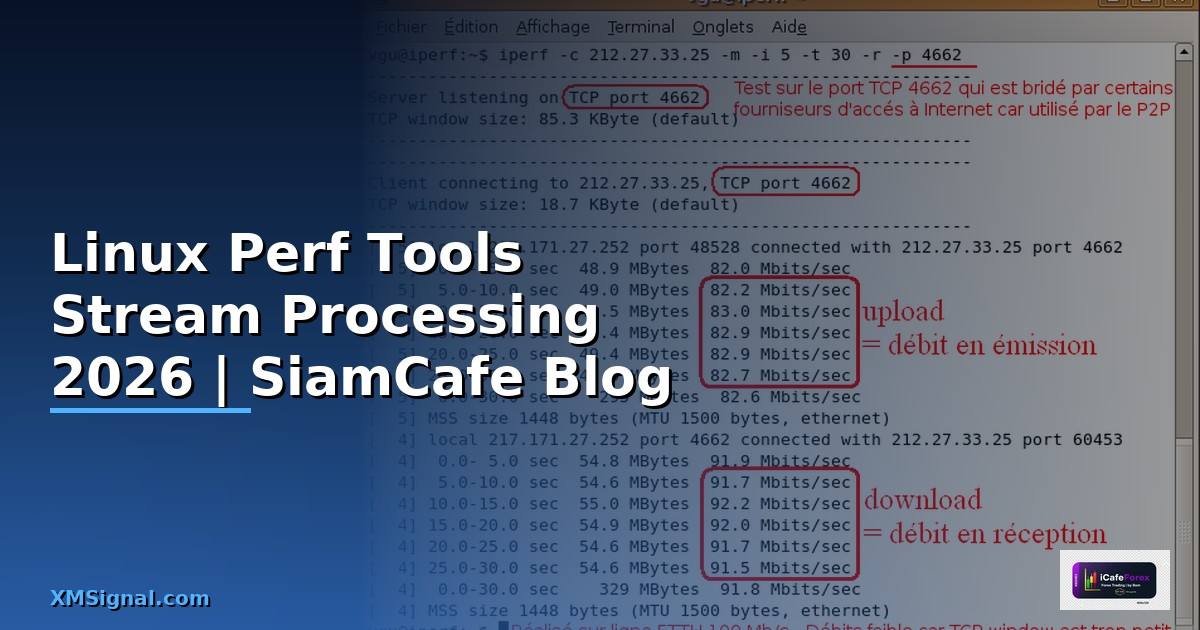 Linux Perf Tools Stream Processing