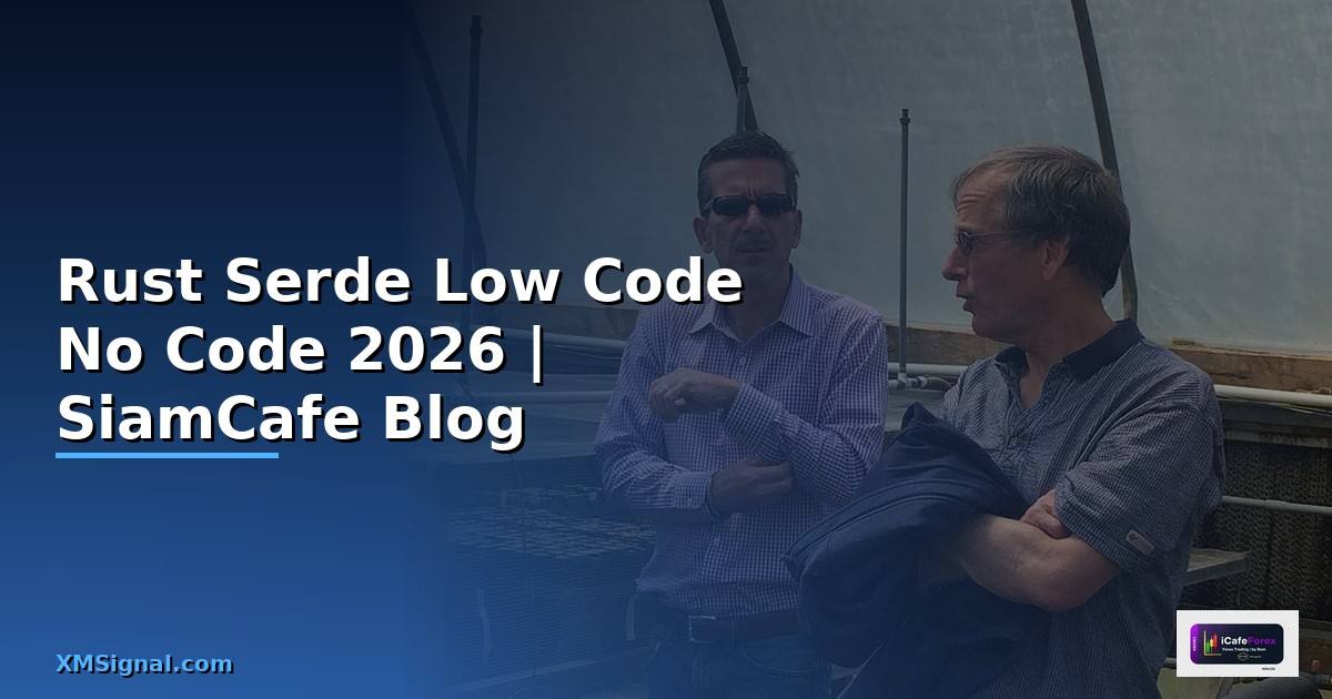 Rust Serde Low Code No Code