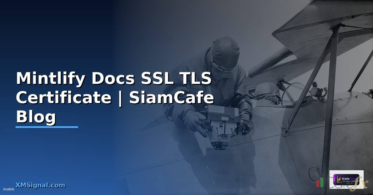 Mintlify Docs SSL TLS Certificate