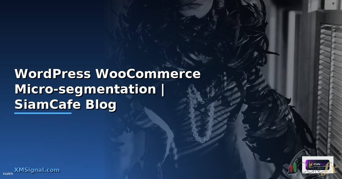 WordPress WooCommerce Micro-segmentation