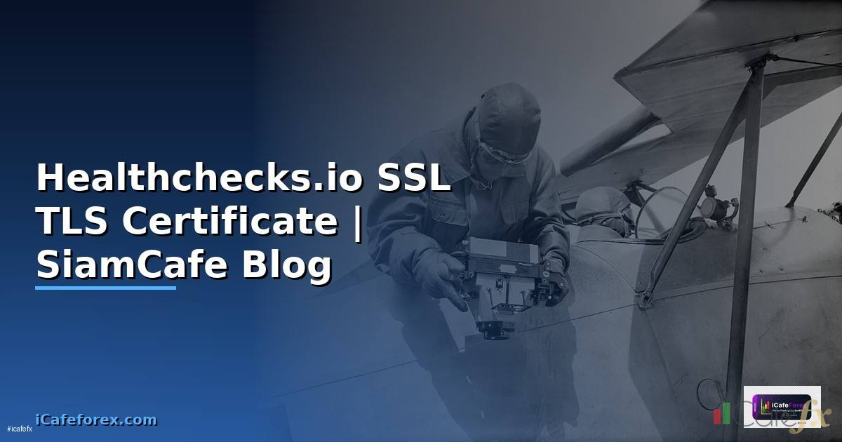 Healthchecks.io SSL TLS Certificate
