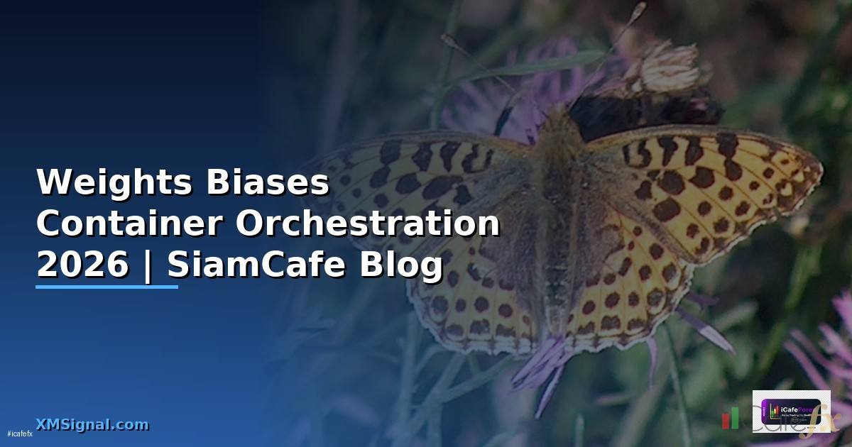 Weights Biases Container Orchestration —