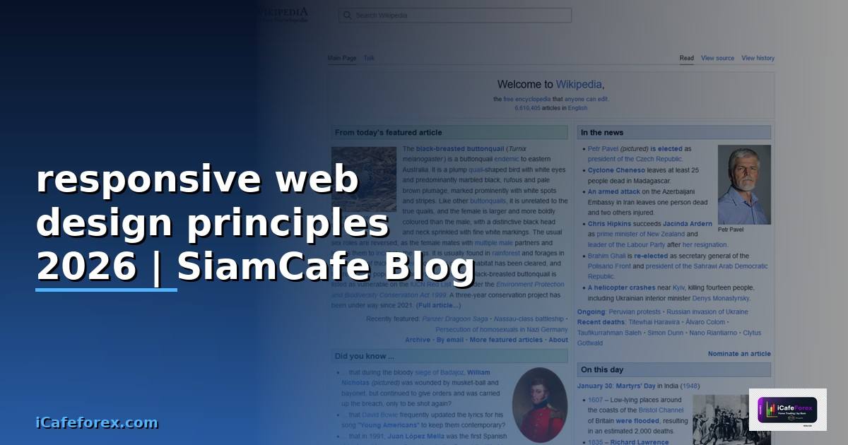 responsive web design principles