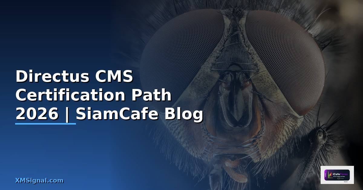 Directus CMS Certification Path