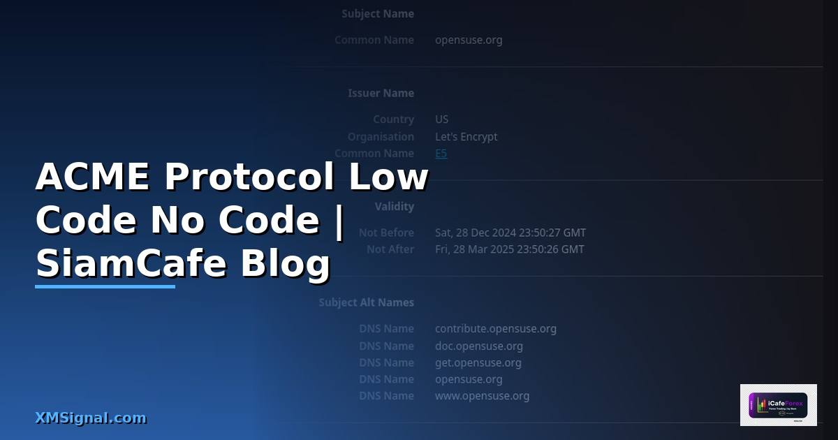 ACME Protocol Low Code No Code