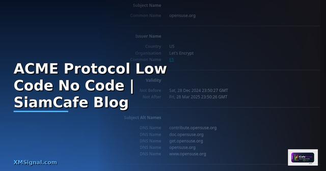 ACME Protocol Low Code No Code