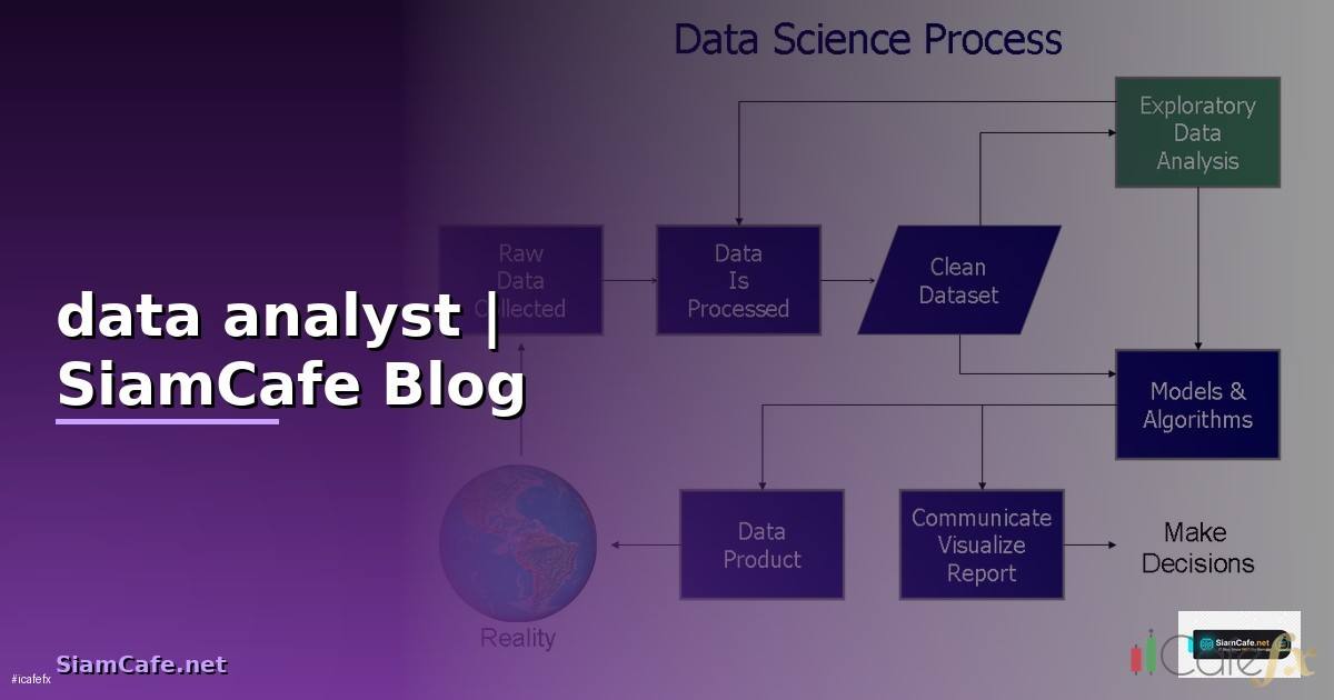 ตําแหน่ง data analyst