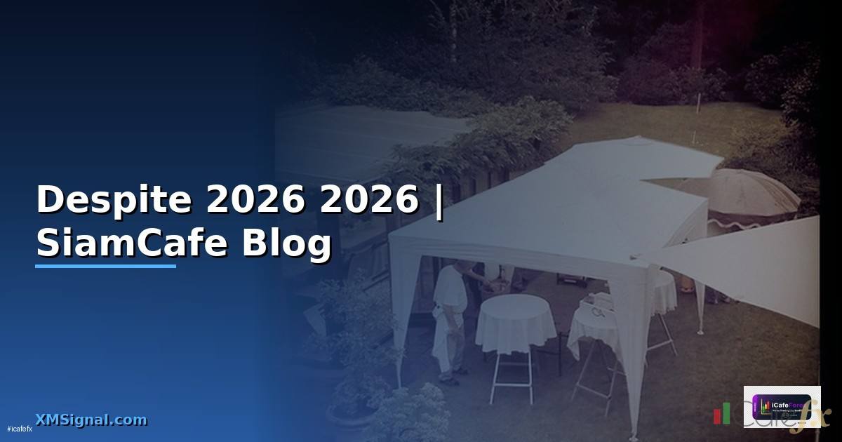 Despite การใช — คู่มือฉบับสมบูรณ์ 2026
