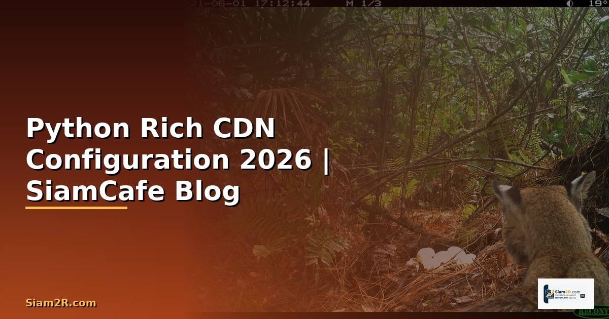 Python Rich CDN Configuration — คู่มือฉบับสมบูรณ์ 2026