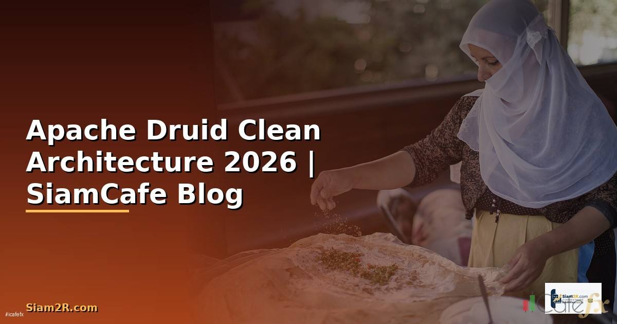 Apache Druid Clean Architecture