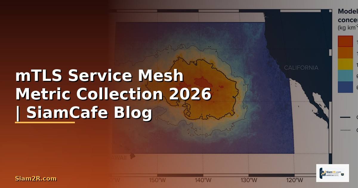 mTLS Service Mesh Metric Collection — คู่มือฉบับสมบูรณ์ 2026