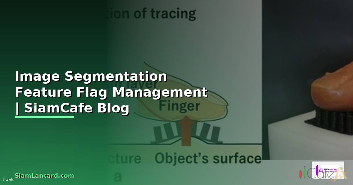 Image Segmentation Feature Flag Management