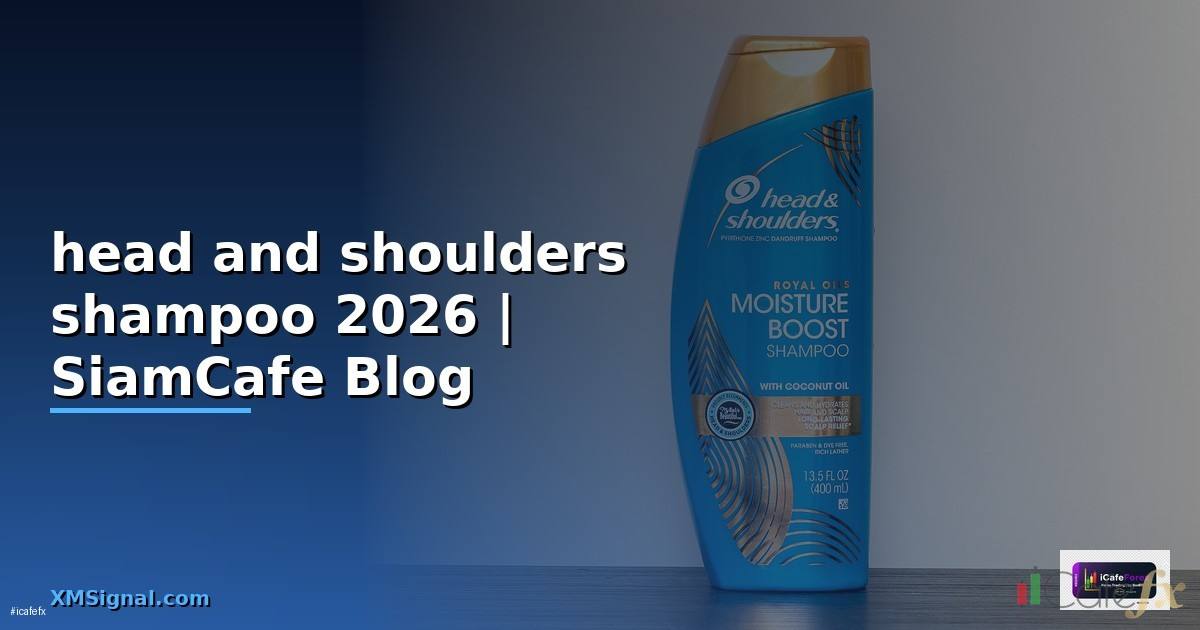 head and shoulders shampoo — ทุกสิ่งที่ต้องรู้ในปี 2026